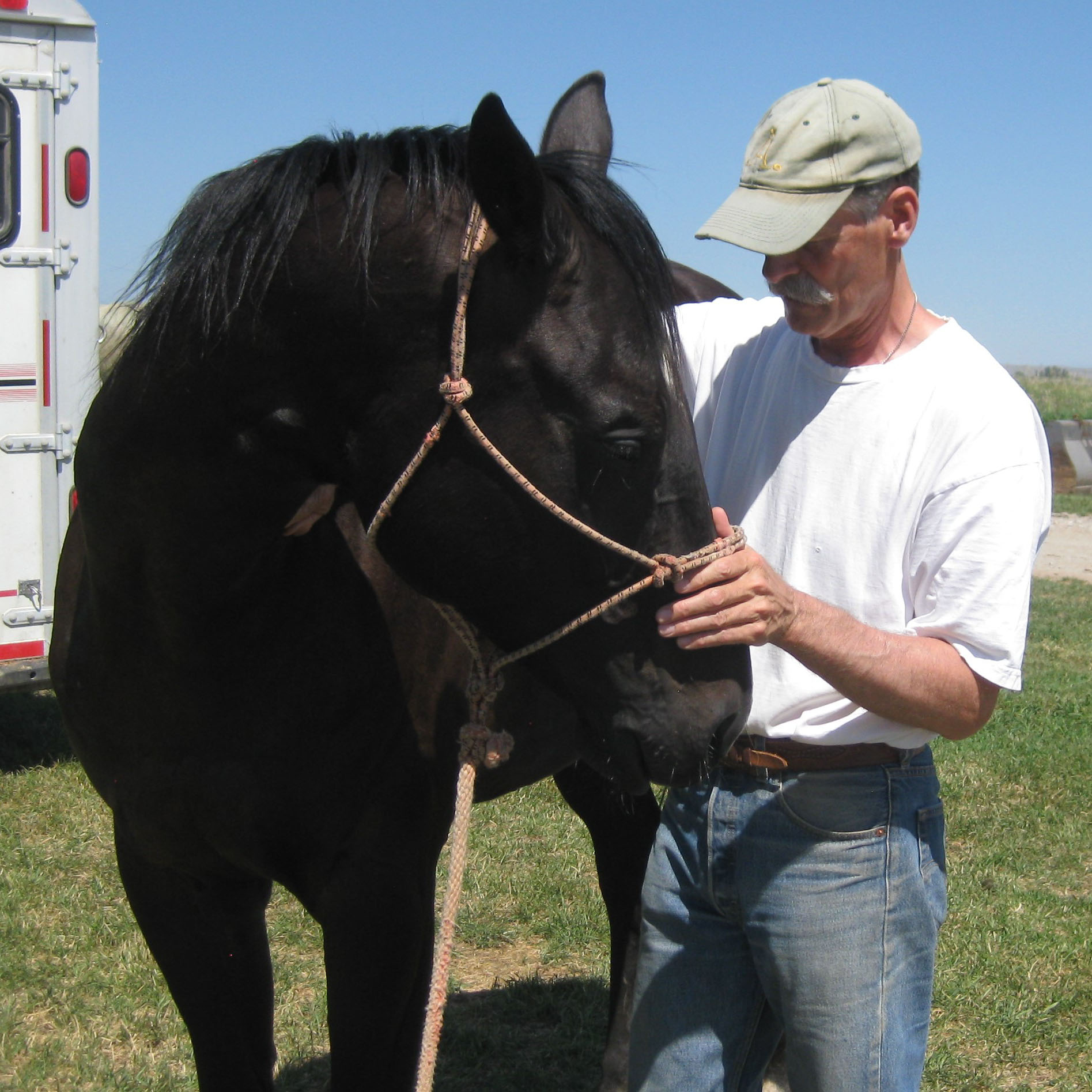 lee-lofgren-equine-and-canine-chiropractic-care-work-3